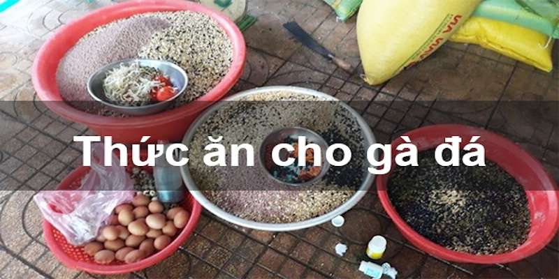 các loại mồi cho gà đá